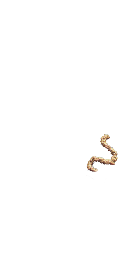 C1_img02.png