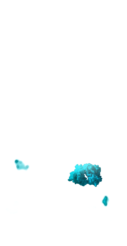 C1_img03.png